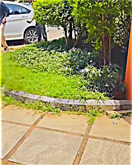 ভাই-বোনের ভালোবাসা জীবনের সবচেয়ে মূল্যবান সম্পদ, যা টাকা দিয়ে কেনা যায় না..!!🥺❤️‍🩹 #rsnijonvai #nijon #foryou #bdtiktokofficial #tiktokviral @TikTok Bangladesh @TikTok @For You 
