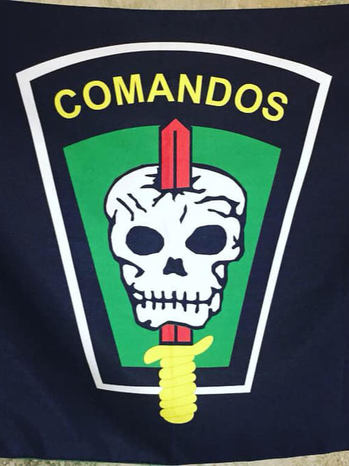 Tudo por um ideal! Comandos!💀