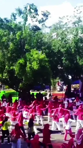 Gebyar Senam Aerobic Jalan Santai Dan Donor Darah Wado Sumedang HUT RI Ke 80