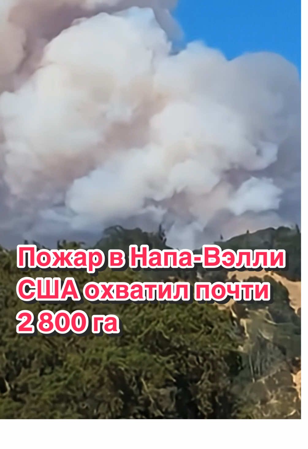 В США масштабные лесные пожары добрались до винодельческого региона Напа-Вэлли в Калифорнии — огнём охвачено около 2 753 гектара (примерно 6 803 акра), сообщает ABC.  Это пожар Pickett Fire, возникший 21 августа близ города Калистога. Более 1 230 пожарных, включая авиацию, задействованы в тушении, эвакуированы жители и защищаются виноградники с винодельческими хозяйствами. #сша #пожар #катастрофа 