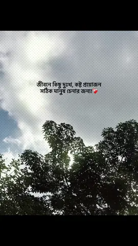 জীবনে কিছু দুঃখ, কষ্ট প্রয়োজন সঠিক মানুষ চেনার জন্য!❤️‍🩹 #foryou #banglacaption #sadcaption #emotionalvideo #fyp 