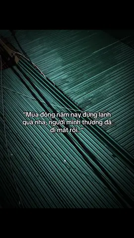 Mùa đông năm nay đừng lạnh quá nha, người mình  thương đã đi mất rồi..#caphay #cap #nguyennbee🇻🇳#buon_tam_trang#xunghuong#foryou #chill 