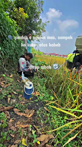 Lek ra atos yo empuk 😂#fypシ゚viral🖤tiktok #kombikucing #fyp #caruban_story #pesonakuliindonesia🇲🇨 