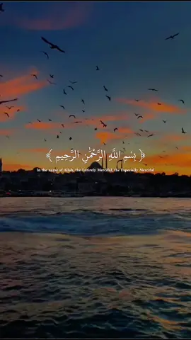 ##foryou #quran #vairal #الله_اكبر #islamic_video 