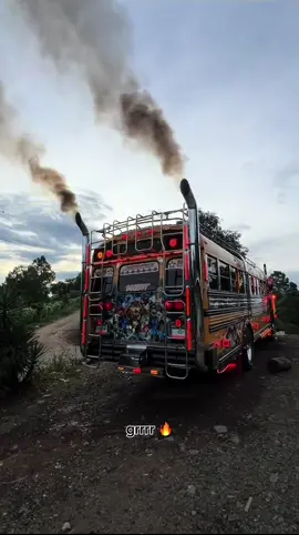 Ayayayyyyyy sonidos que enamoran, La Rompe Corazones 😍😍😮‍💨 #LaRompeCorazones💔 #transportes_guadalupe🔥 #marcandoladiferencia😎💯 #buserosdecorazon❤ #laenvidiademuchos😝 @𝑪𝑯𝑨𝑳𝑰 𝑾𝑰𝑳𝑳𝑰𝑨𝑴 @𝑨𝑵𝑻𝑶𝑵𝒀 𝑿𝑶𝑪𝑶𝒀 @thebestbuses.1 @𝑻𝒆𝒄𝒖𝒏 𝑨𝒓𝒎𝒂𝒏𝒅𝒊𝒕𝒐 @️Seko @Raúl10Jiatz @𝓣𝓤 𝓑𝓤𝓢𝓔𝓡𝓞 𝓛𝓞𝓒𝓞🚍🔥 @𝙇𝙖𝙨𝙉𝙚𝙣𝙖𝙨𝘿𝙚𝙋𝙖𝙥𝙞🇬 
