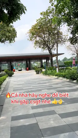 #Lan167 # csgt mà nhận hối lộ từ 2 tr đồng chở lên có thế bị khởi tố ….!!#xuhuongtiktok2025❤️💕🇻🇳🌹 # @lan167_ 