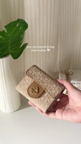 Manifesting a lot of income with @CLNph wallet ✨ #clnph #clnwallets #fyp #minimalistwallet #miniwallet 