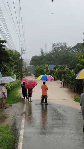 🚨 ด่วน! แจ้งเตือนสถานการณ์น้ำ 🌧️🌊 📍 ลำห้วยแม่พวก เกิดน้ำป่าไหลหลาก ⚠️ ขณะนี้ (⏰ เวลา 12.10 น.)  ระดับน้ำ ล้นตลิ่ง เพิ่มสูงขึ้น เอ่อท่วมถนนกระแสน้ำไหลแรง มีปริมาณมาก 👉 ขอให้ประชาชน หลีกเลี่ยงเส้นทางดังกล่าว และเพิ่มความระมัดระวังในการเดินทางโดยด่วน #แจ้งเตือนน้ำท่วม #สภห้วยไร่ #ฝนตกหนัก #ระวังน้ําป่าไหลหลาก 
