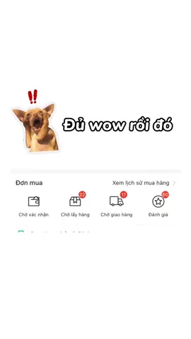 Cách tôi tiết kiệm khi mua đồ #ShopeeVIP #ShopeeVIPTrieuphuvouchergiamden20%
