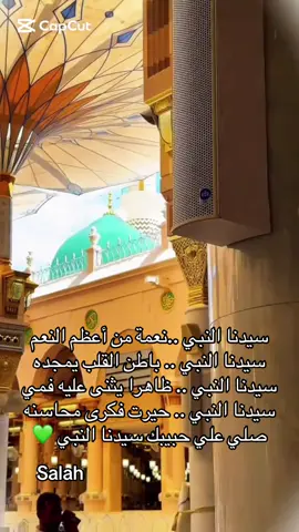 سيدنا النبي ..نعمة من أعظم النعم  سيدنا النبي .. باطن القلب يمجده سيدنا النبي .. ظاهرا يثنى عليه فمي سيدنا النبي .. حیرت فکری محاسنه  صلي علي حبيبك سيدنا النبي 💚#صلي_الله_عليه_وسلم #المدينه_المنوره_ #الشيخ_امين_الدشناوي #ميلاد_الحبيب_محمد_رسول_الله #رسول_الله 
