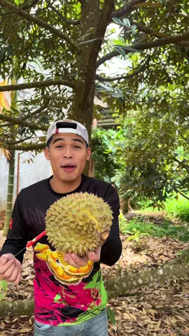 Sầu riêng hai muối daklak chín nha mn 