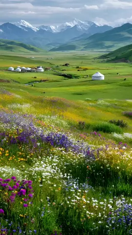 August brings endless green meadows, wildflowers, and grazing horses under clear blue skies. Perfect for hiking, photos, and soaking in Xinjiang’s natural beauty! #NalatiGrassland #Xinjiang #SummerTravel #MountainViews #NatureEscape #ExploreChina #GrlandAdventure
