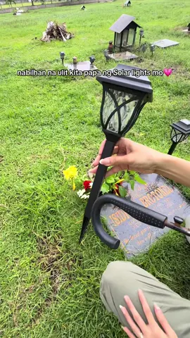 #cemeterylights #cemeterylights 