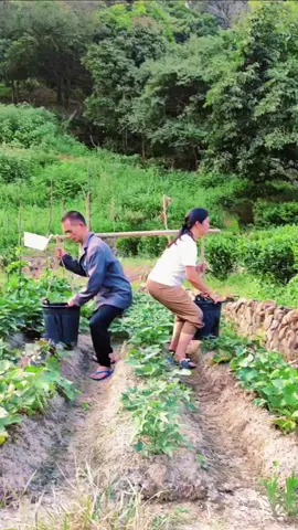 china funny video #viral #foryou #trending #foryoupage 