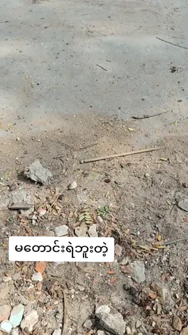 #ကိုချစ်သဲပရဟိတ #1millionaudition #foryou #foryoupage #VoiceEffects 