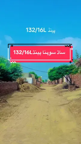 🥀❤️#132 #chak132 #treanding #سوہناپنجاب❤💓💕👍🇵🇰 #village 