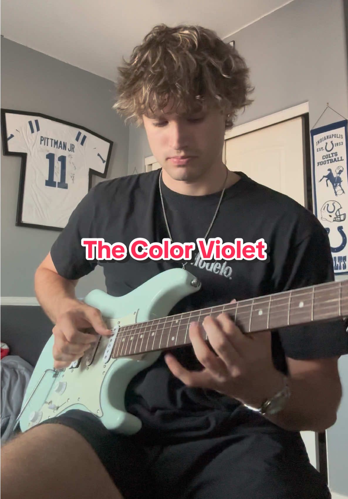 The color violet #guitartok #torylanez #electricguitar #fypシ #vira 