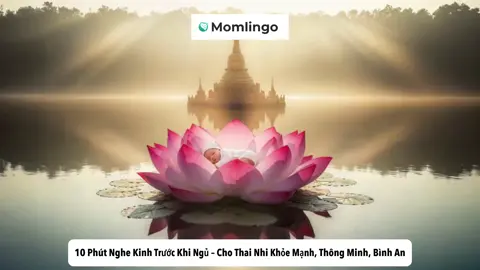 ✨ Chỉ cần 10 phút mỗi ngày cùng nhạc Phật thai giáo: 🌸 Mẹ giữ tâm an, ngủ ngon hơn 🌸 Bé yêu cảm nhận năng lượng bình an từ trong bụng mẹ 🌸 Cả nhà cùng nuôi dưỡng sự tĩnh lặng và yêu thương 👉 Hãy thử mở nhạc mỗi tối trước khi ngủ, mẹ sẽ thấy sự khác biệt 💖#momlingo #xuhuong #kinhdiatang #nammoadidaphat #phatphapnhiemmau 