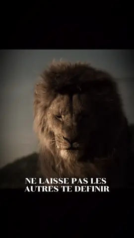 Rien ne t'arrête 👑 #motivation #simba #mufasa #hanszimmer #roilion 
