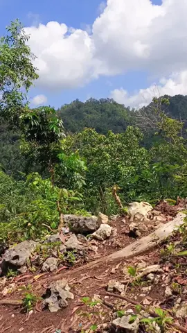 angin soss🌪️ #masukberanda #layangan #fyupage#pelayangdesa 