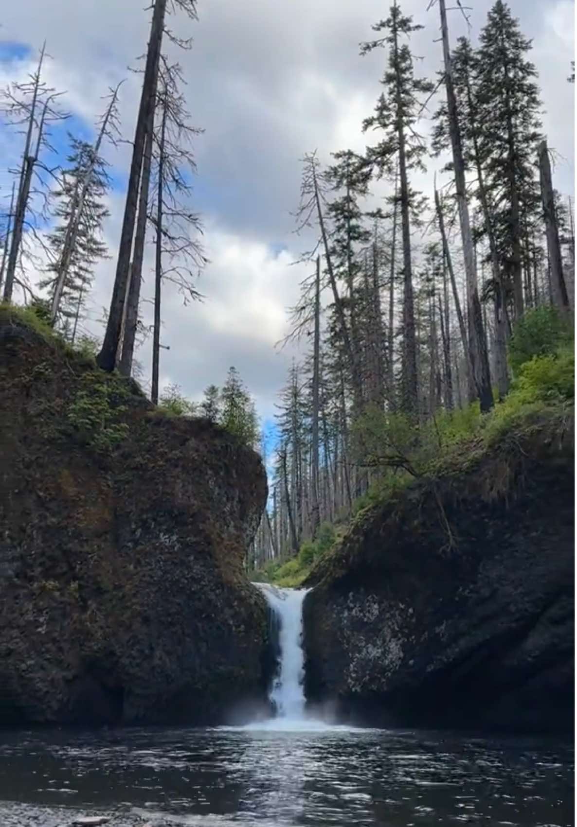 Just breathe, let peace in.