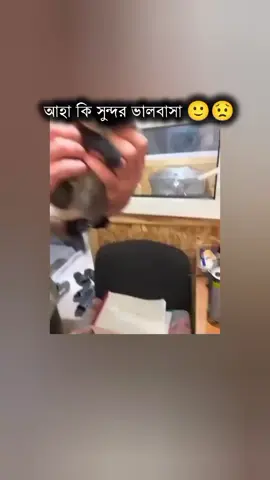 🙂#foryou #foryoupage #vairal #vairal_video #fyppppppppppppppppppppppp @TikTok Bangladesh 