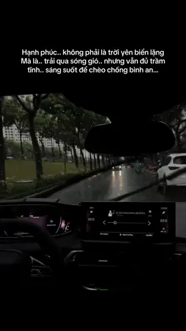 Hạnh phúc.. không phải là trời yên biển lặng.. Mà là.. trải qua sóng gió.. nhưng vẫn đủ trầm tĩnh.. sáng suốt để chèo chống bình an…