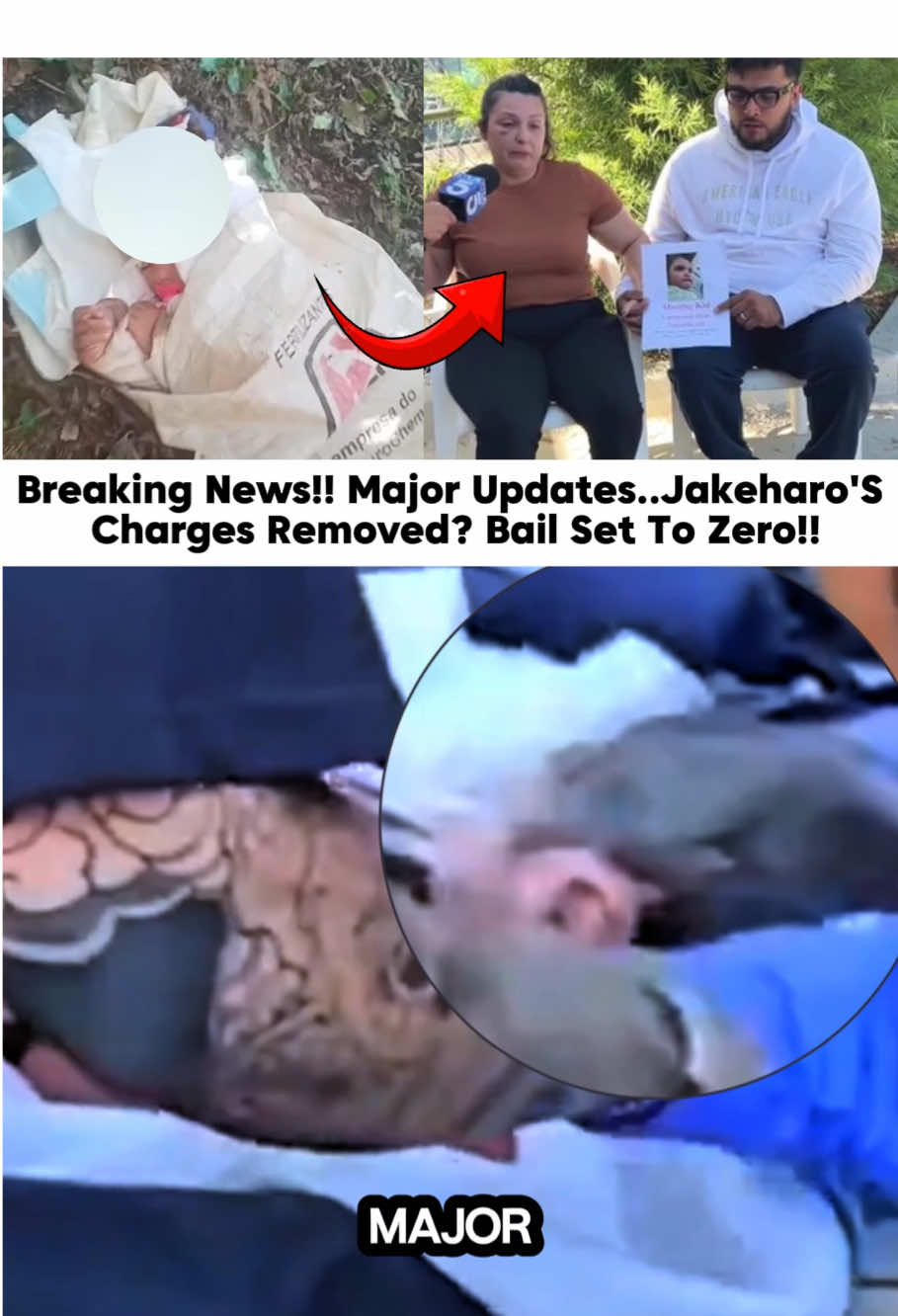 Breaking News!! Major Updates..Jakeharo'S Charges Removed? Bail Set To Zero?#truecrimecommunity #breakingnews #news #emmanuelharo  #jakeharo #rebeccaharo #update #arrested #yucaipacalifornia#usa_tiktok 