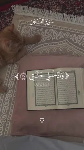 سورة الفجر الاية ٢٤-٣٠ #ماهرالمعيقلي #قرآن #قران #قرآن_كريم #قران_كريم 