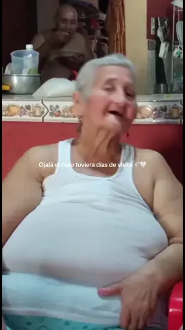 Ya un año de tu dolorosa partida mi vieja, no te imaginas el cambio que diste en mi vida, se siente tan vacío desayunar sin ti, no verte sentada en la entrada de nuestra casa, no escuchar tu risa, tu hermosa voz cantando, te necesito como no tienes idea, quisiera tenerte a mi lado para abrazarte y soltar todo lo que tengo reprimido. Estoy logrando muchas cosas que hubiera querido que tú vieras, simplemente te llevaste una gran parte de mi esencia y mi alma, el tiempo a pasado tan rápido, pero tu ausencia sigue doliendo como el primer día. Mi madre, mi abuela, mi amiga, fuiste y seguirás siendo mi todo en esta vida, te extraño cada día mucho más :(. Te fuiste sin enseñar a cómo seguir con mi vida sin ti a mi lado, te recuerdo en cada esquina de la casa, espero que estés con Dios y el gordito, se que desde arriba están cuidándome y ayudándome a conseguir todo lo que les prometí, les juro que no los decepcionaré, te amo y te extraño demasiado mamita 🤍. #abuelita #🤍 #fyp 