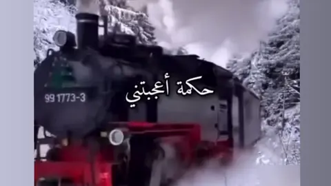 #حكمة_أعجبتني #foryou #اكسبلورexplore #حكم #foryou 