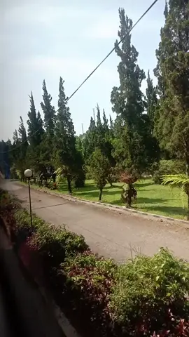 sari ater #tiktokan #fyppppppppppppppppppppppp #sariater 