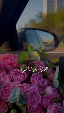 #CapCut #الدنيا منعيشها مرة#يارب يخلي ضحكاته#جديد #فضل_شاكر 