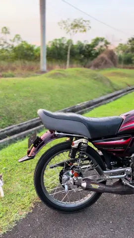 Aku rela jadi kuli demi rx kingku style medan 🤞🤪