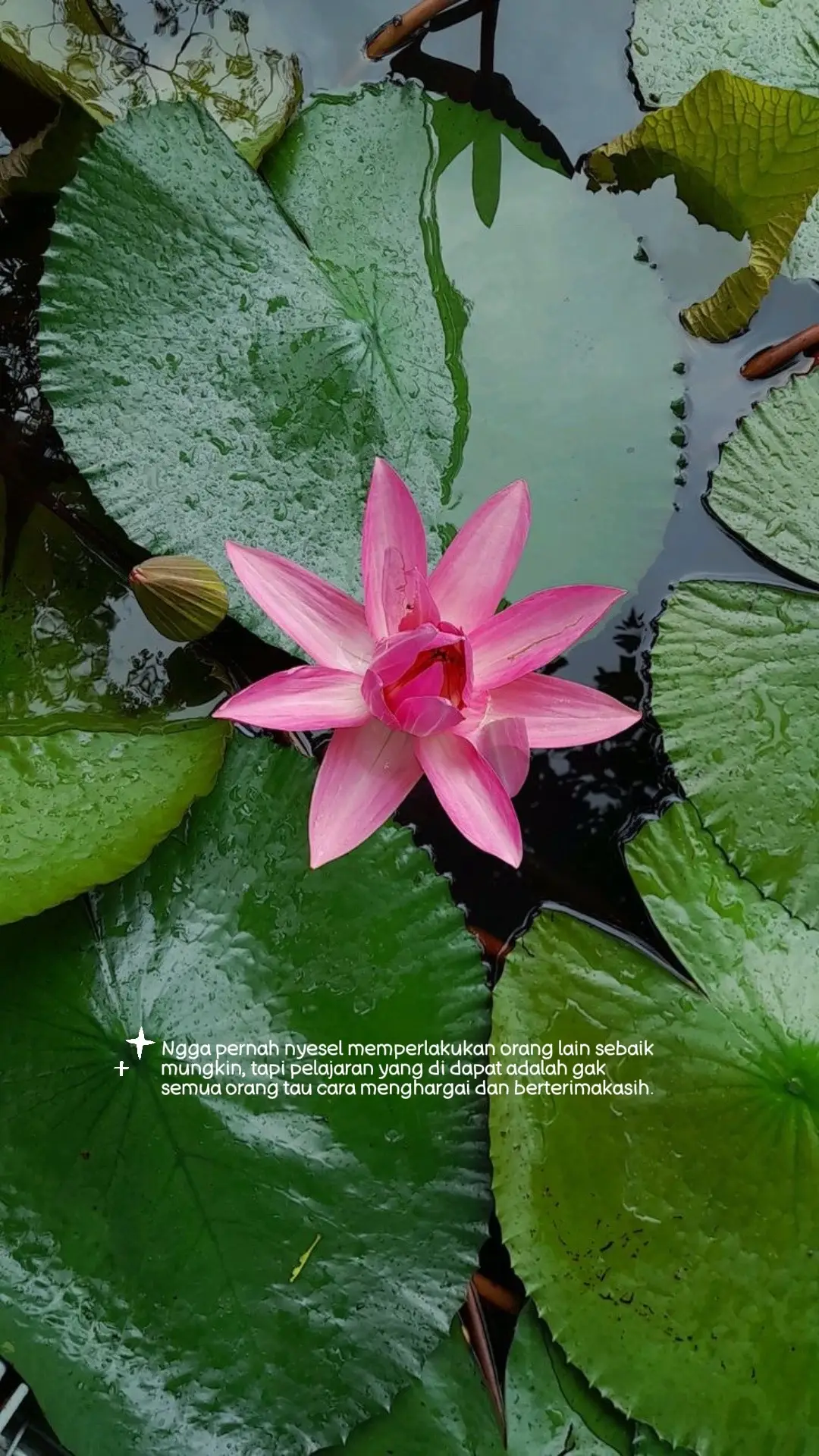 Itu adalah prinsip yang dalam dan bijaksana. 🌿 Tetap berbuat baik meski tidak selalu dibalas baik adalah bentuk kekuatan hati, bukan kelemahan. Karena kebaikan sejati tidak tergantung pada perlakuan orang lain, melainkan pada siapa diri kita sebenarnya. Balasan mungkin tidak datang dari orang yang sama, tetapi kebaikan selalu kembali dengan caranya sendiri — entah lewat kedamaian batin, rezeki, atau pertemuan dengan orang-orang yang lebih tulus. #psht #fyp #beranda #viral 