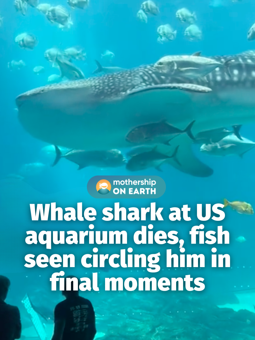 RIP Taroko 😔 The aquarium shared that he was named after Taroko National Park in Taiwan, describing him as 