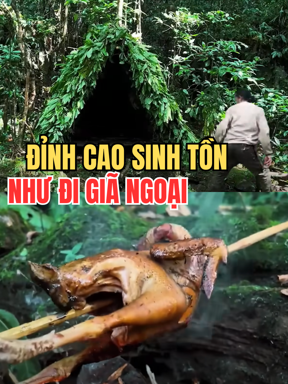 Sinh tồn mà cữ như đi giã ngoại phần 2 #sinhton #sinhtonhoangda #kynangsinhton #reviewphim
