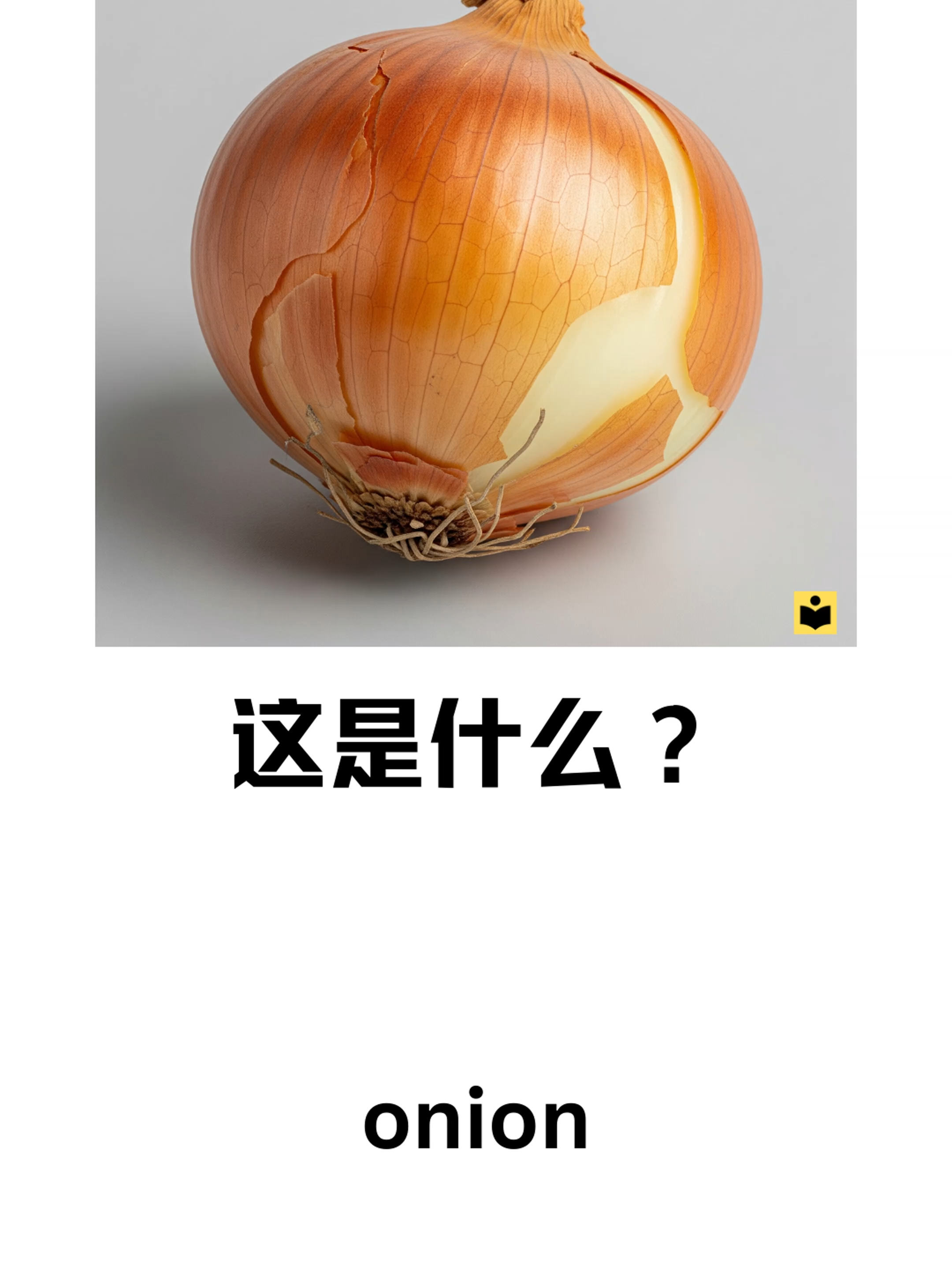 Name It in Chinese-8 #chinesevocabulary #chinesewords #learningchinese #freechineselesson #onlinechinese #singaporechinese #华文