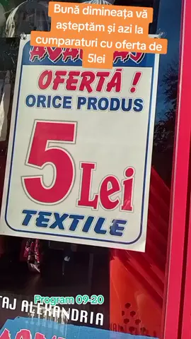 #avantajalexandria #5lei #viralditiktok #vaasteptamlacumparaturi #strhcc 