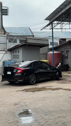 korban singa🗿