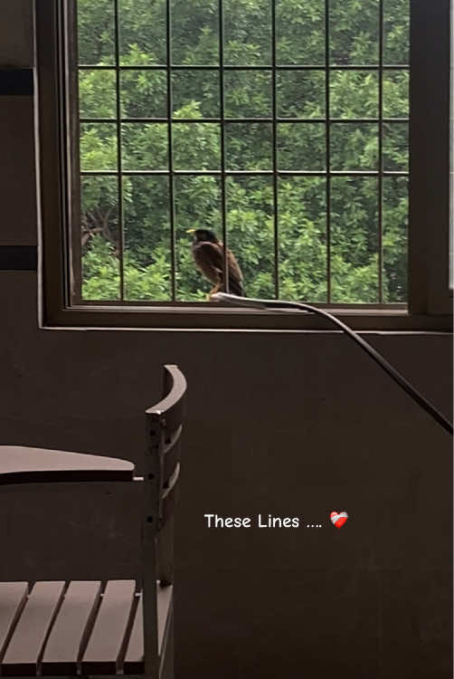 Why such lines hits badly in nature ❤️‍🩹 . #foryou #fyp #viral #emotional #foryoupage