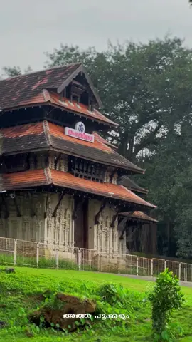#വടക്കുംനാഥന്റെ മുന്നിലെ പൂക്കളം 2025🌿💮🏵️🌼🏵️🏵️ 