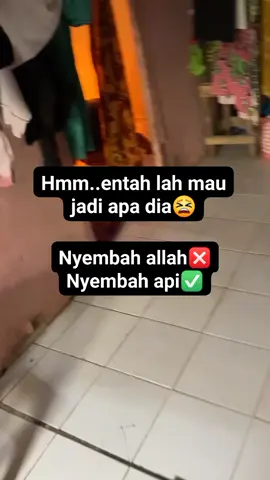 #education  #edukasi #viraltiktok #fypシ゚  #viralシalシ