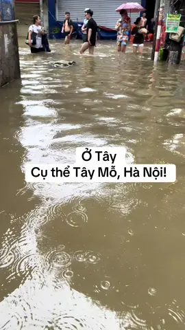 Ao Tây Mỗ #vairal #bão #hanoi #ngập 