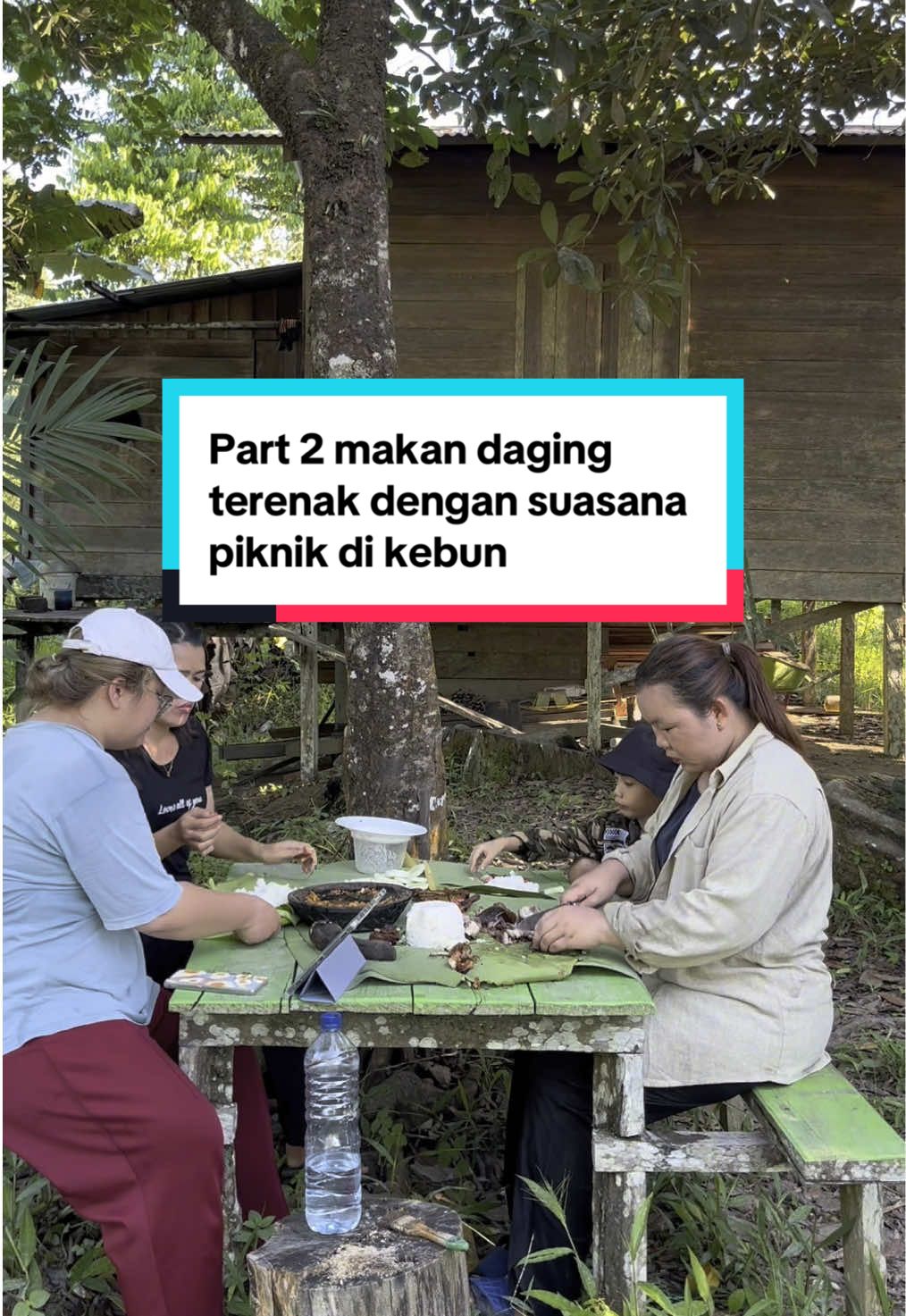 Part 2 makan daging babi panggang dikebun  #makandikebun #babibakar #suasanadikampung 