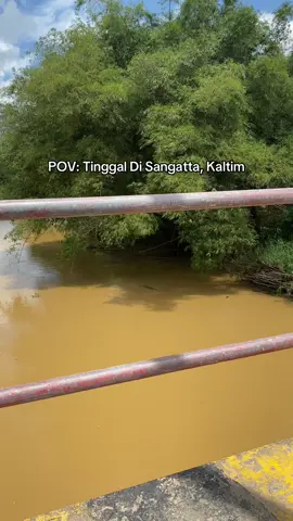 🐊: apaan sih lu video video gw, ngepensss lu !!!!  Buaya nya malu malu di videoin , lagi ngadem kayanya dia di Jembatan Pinang😂😂  #kalimantan #sangattaku #kalimantantimur #kutaitimur #buayadarat🐊 