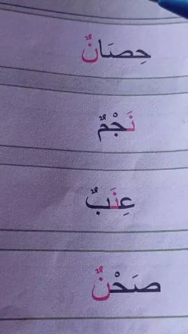 #تعلم اللغة العربية من الصفر بافضل طريقة 😊🇸🇦 #تعلم_اللغة_العربية #اللغة_العربية #تعليم_العربية #دروس_عربية 