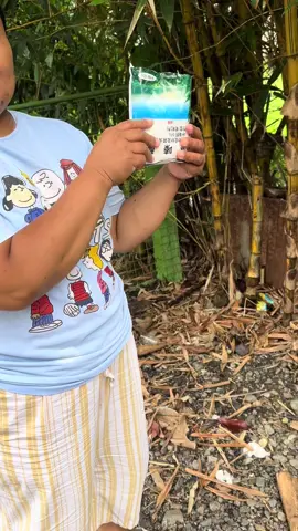 “Mabilis. Matindi. Diretso sa ugat.” WEED Killer 500g – Concentrated Hexazinone formula para sa malalaking puno, kawayan, at matitigas na damo. Uproot the problem — hindi lang putol, tanggal hanggang ugat! #WWEDKiller #TanggalSaUgat #WalangSasantuhin #MatibayNaHerbicide #CherianSariSariShowcase  