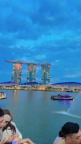 Top 10 Beautiful Pl. in the world N 1 Singapore #merlionparksingapore #bestplacesingapore #marinabaysingapore #chinatownsingapore #foryou 