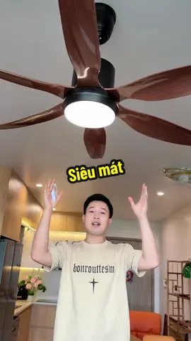 Quạt Trần 6 Cánh ABS siêu mát #quattran #quattran5canh #xuhuong #muataitiktok #nhanuytin88 